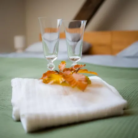 Hotel Zamek Piastowski Racibórz