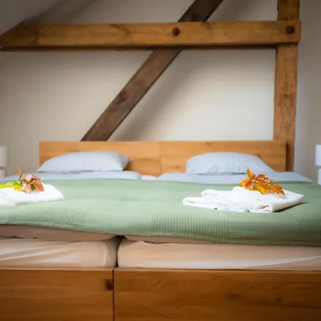 Hotel Zamek Piastowski *